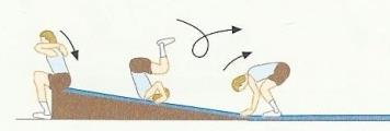 controlo do corpo) Variante: Situação a pares: os alunos, de peito virado para a parede, elevar a bacia e as pernas até definir o pino, adquirindo a noção do alinhamento de todos os