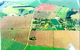 tonalidades médios-claras de níveis de cinza (Major et al., 1993) nas imagens da banda C do Radarsat.