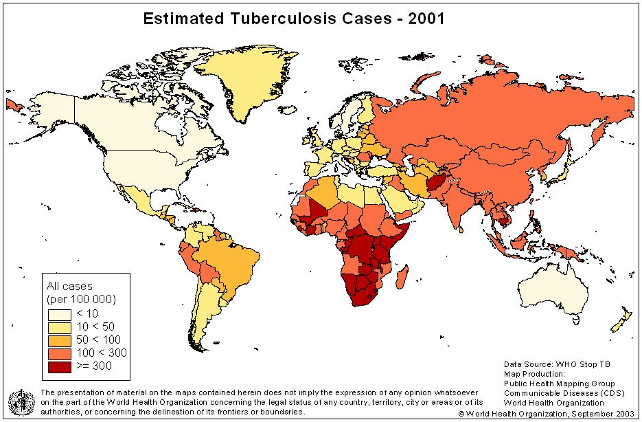 Tuberculose no