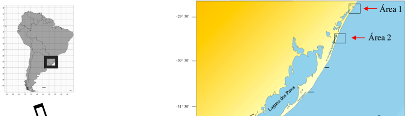 Figueiredo & Calliari 75 Figura 1. Localização das áreas de estudo: Área 1 Rio Mampituba; Área 2 Laguna de Tramandaí; Área 3 Laguna dos Patos; Área 4 Arroio Chuí.