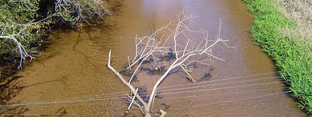 O córrego Pinhalzinho Segundo (figura 2) possui diversas características hidromorfológicas dentre elas o padrão de drenagem subparalelo, ou seja, a direção dos fluxos hídricos é determinada pelo