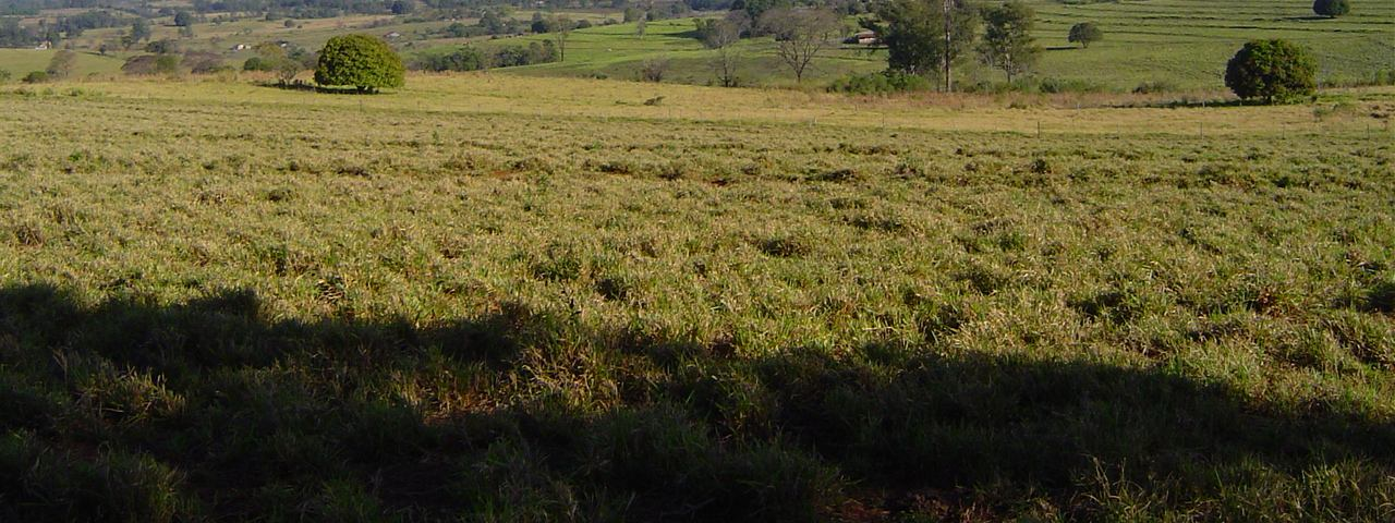 O planalto de Umuarama é uma das unidades morfo-escultural no Terceiro Planalto Paranaense, apresenta dissecação média e ocupa uma área de 11.592,61km².