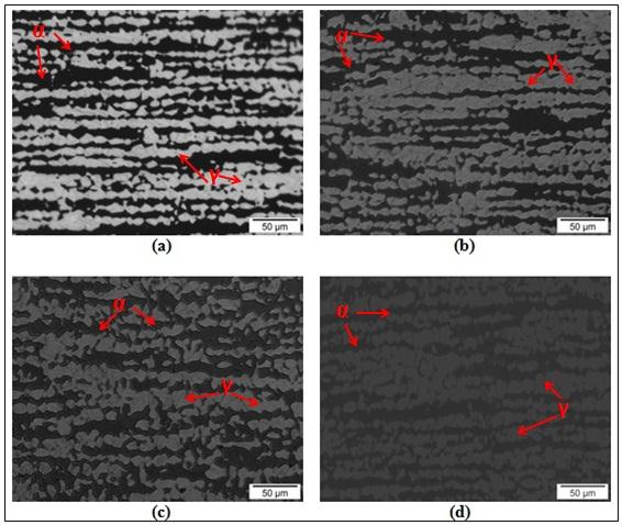 78 Figura 88: Micrografias com aumento de 20x e ataque Behara da seção transversal.