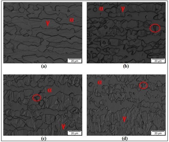 80 Figura 90: Micrografias com aumento de 50x e ataque com ácido oxálico na seção longitudinal.