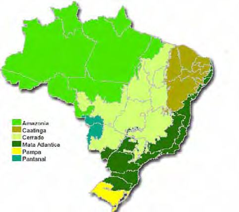 3. Diversidade biológica no mundo: Catálogo de espécies do Brasil - 2010 www.floradobrasil.