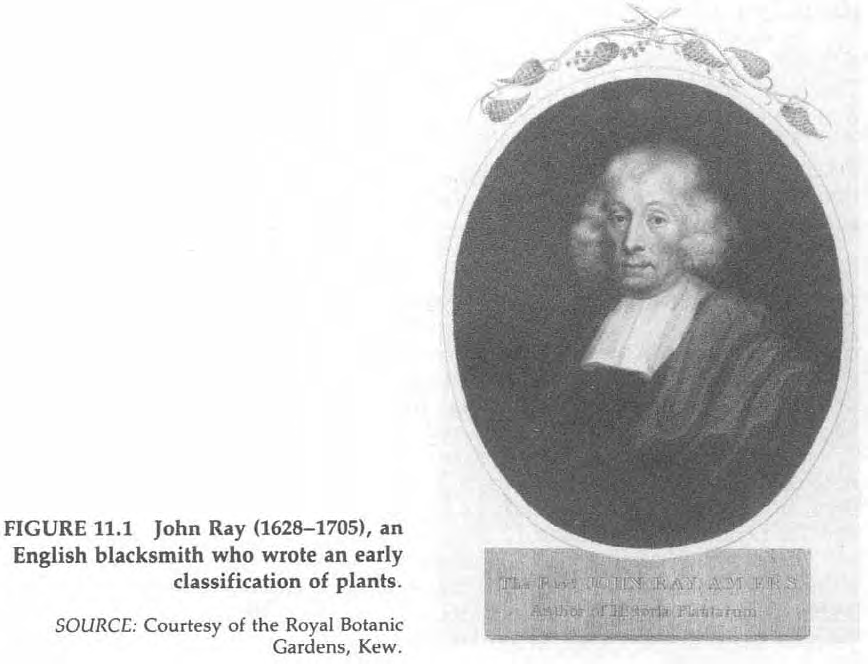 Ray (1690)