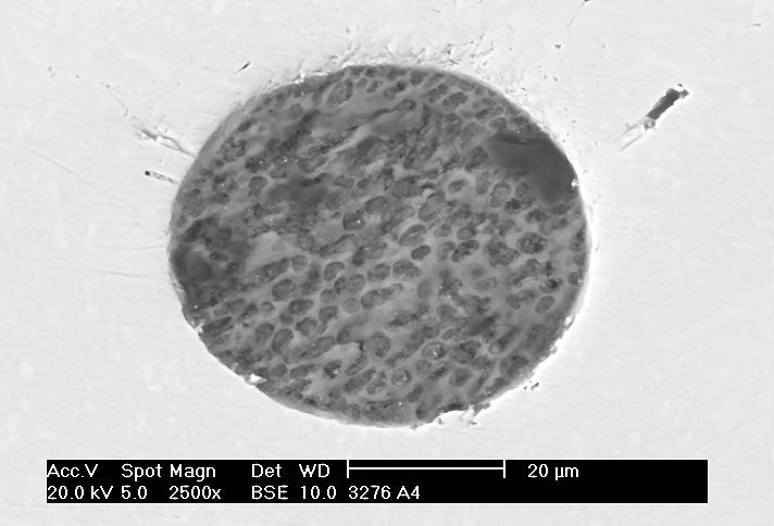 83 A Figura 51 mostra uma inclusão de oxissulfeto de formato globular em amostra retirada após a adição de Al. Esta inclusão possui tamanho da ordem de 50µm.