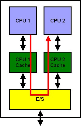 Normalmente são utilizados cores simples de processadores homogêneos, mas também pode-se utilizar cores heterogêneos e com diferentes graus de complexidade.