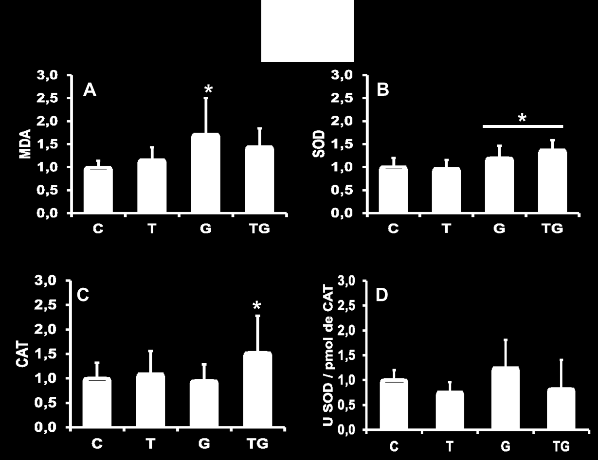 Figura 8. Avaliação de parâmetros relacionados ao estresse oxidativo tecidual do pâncreas em camundongos após 6 semanas de tratamento de suplementação com l-glutamina e treinamento aeróbio moderado.
