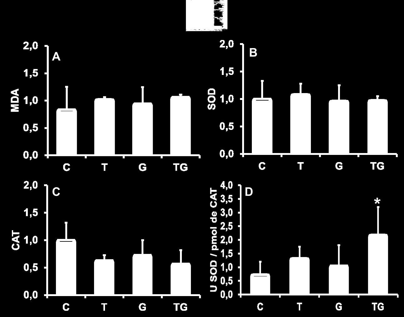 l-glutamina e treinamento aeróbio moderado. Concentrações de MDA (A), atividade enzimática das enzimas SOD (B) e CAT (C), razão SOD/CAT (D).