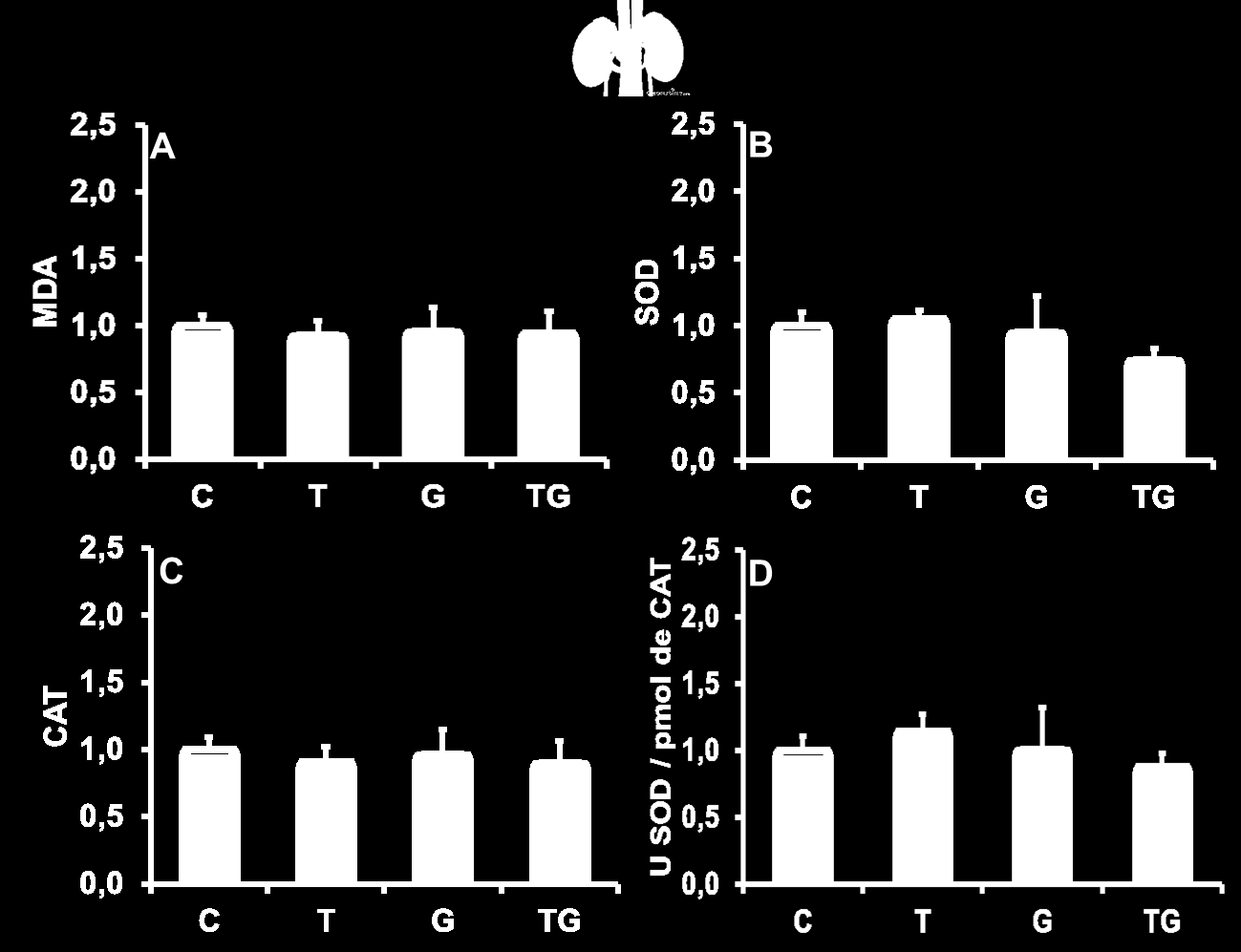 Figura 11. Avaliação de parâmetros relacionados ao estresse oxidativo tecidual do rim em camundongos após 6 semanas de tratamento de suplementação com l-glutamina e treinamento aeróbio moderado.