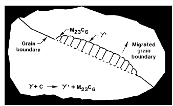 Os carbonetos do tipo MC precipitam normalmente com uma morfologia globular ao longo das fronteiras de grão.