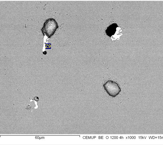 A observação em MEV permitiu a detecção de um conjunto de partículas destacadas, cuja microanálise revelou serem ricas em nióbio (vide figura 29). a) b) Partículas com a morfologia diferente Fig.