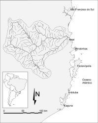 SCHETTINI & CARVALHO: Hidrodinâmica e distribuição de sólidos em suspensão no estuário do Rio Itajaí-açu.