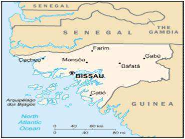 Contexto - Guiné-Bissau Dimensão territorial do país: 36.125 Km 2 População: 1.520.830 habitantes Ligação com o caju: +80% da População Produção da Castanha: +200.000 Ton.