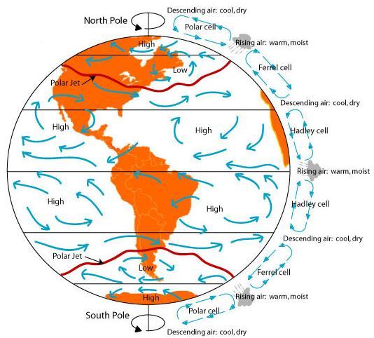 Figura 5: Esquema da circulação geral da atmosfera. Fonte: http://www.learner.org/courses/envsci/. Acessado em 04/08/10.