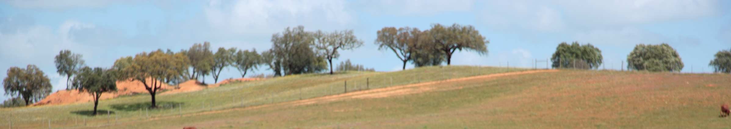 OS NOSSOS PRODUTOS HERDADE DOS