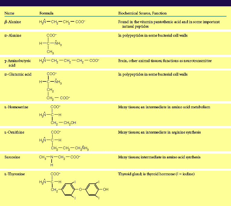 a) quanto à ocorrência não protéicos Nome β- Alanina D- Alanina γ- ácido aminobutírico D- ácido glutâmico L- Homoserina L- ornitina Sarcosina L- Tiroxina Fórmula Fonte bioquímica / função ácido