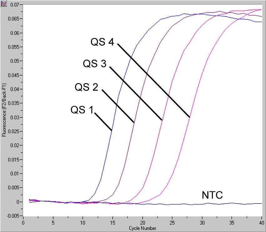 Fig. 8: Detecção dos Padrões de quantificação (HSV1 LC/RG/TM QS 1-4) no canal de fluorescência