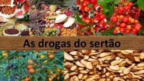 Na segunda metade do século XVII, com o aumento da criação de gado extensiva, a ocupação do território nordestino avançou para o interior.