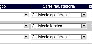 4. Carreira/Categoria Opções a