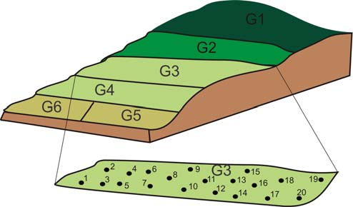 2 Análise de Solos: Finalidade e Procedimentos de Amostragem Procedimentos para a amostragem do solo - Subdivisão da propriedade em glebas homogêneas antes da coleta das amostras, a área deve ser