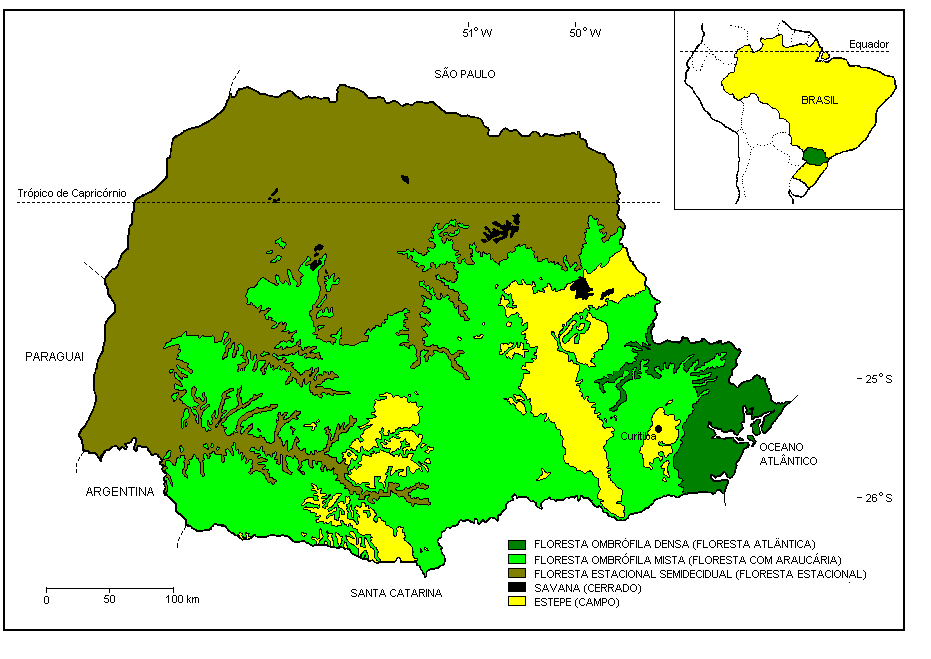 19 FIGURA 01: Mapa do Estado do Paraná e a distribuição das unidades fitogeográficas mais representativas (Fonte: RODERJAN et al. 2001). 3.