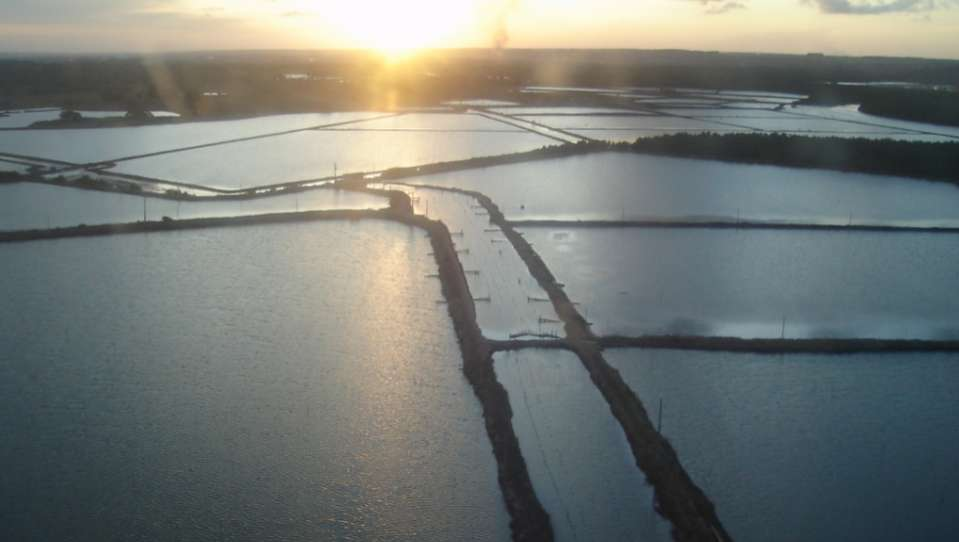 Aquicultura Sustentável Entre o Lucro e o