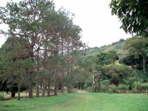 situação e ambiência Para chegar à Três Barras situada cerca de 20 km do centro histórico de