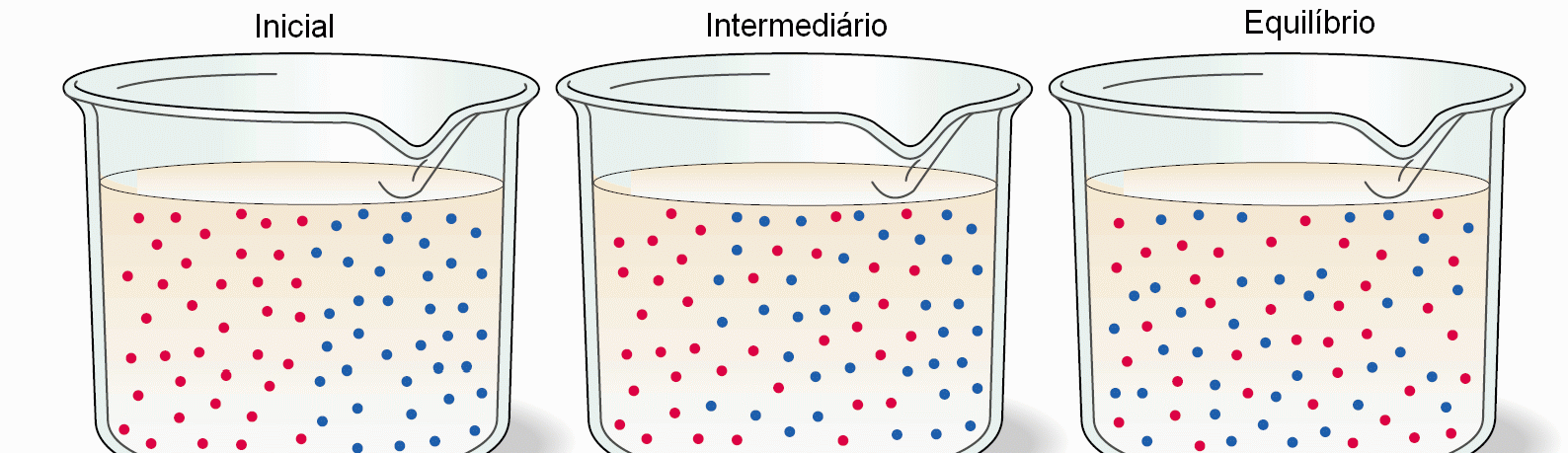 Absorção de água no