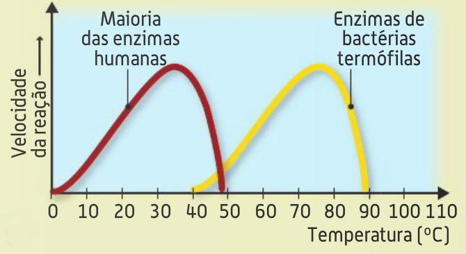 Factores ambientais : Temperatura A velocidade da reacção aumenta com o aumento da temperatura,