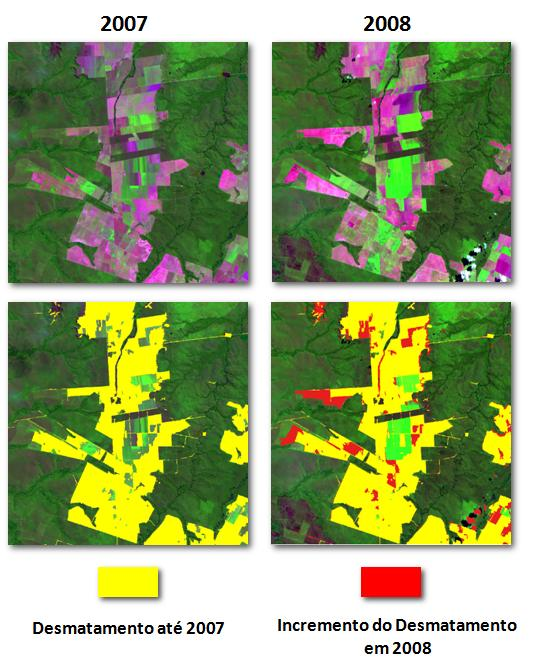 originais. As imagens geradas permitiram também uma redução da dimensionalidade da imagem Landsat 5/TM, além da identificação de outras feições, como as queimadas, por exemplo.