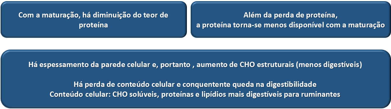 Fonte: Adaptado de xxxxx As concentrações proteicas nas espécies forrageiras são maiores nos estágios vegetativos da planta e declinam na medida em que as mesmas atingem a maturidade.