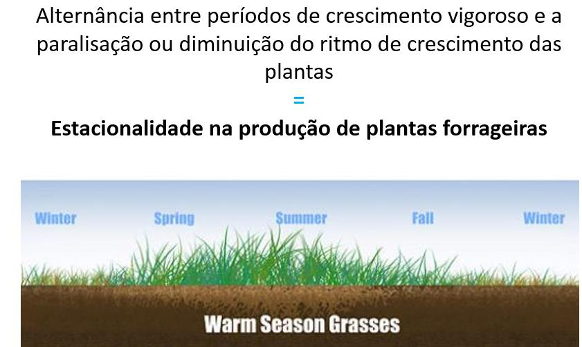 Os fatores climáticos exercem grande impacto sobre as variações do ritmo de crescimento das plantas, impedindo a pastagem de crescer uniformemente durante o ano.