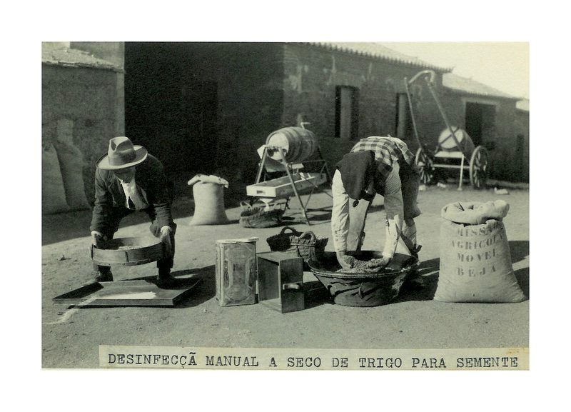 concretamente em 1961, aquando da instalação nos seus terrenos do Centro Experimental de Erosão de Vale Formoso CEEVF. Exemplar da colecção de fotografias do Eng.