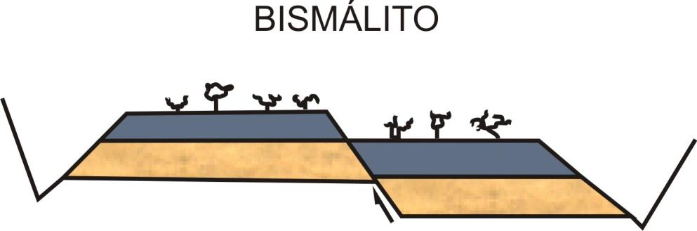 30 Figura 5 - Figura esquemática mostrando um bismálito formando Graben e Horst. Modificado de Machado (2005).