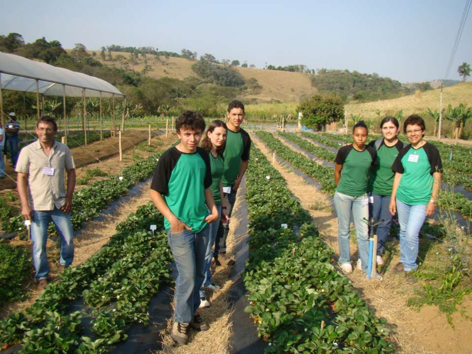 1 Dia de Campo da