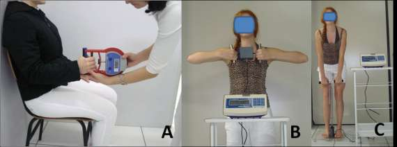 Figura Testes dinamométricos: A manual, B escapular e C lombar. Foram coletados os valores máximos de três tentativas para fazer a média aritmética de cada teste.