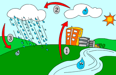 Nome: Data: / / CICLO DA ÁGUA A água desenvolve um ciclo. O chamado ciclo da água é o caminho que ela percorre.