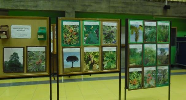 Durante esta Semana, realizou-se uma exposição temática com cartazes sobre árvores autóctones, graciosamente cedidos pela turma de 9º ano Vocacional