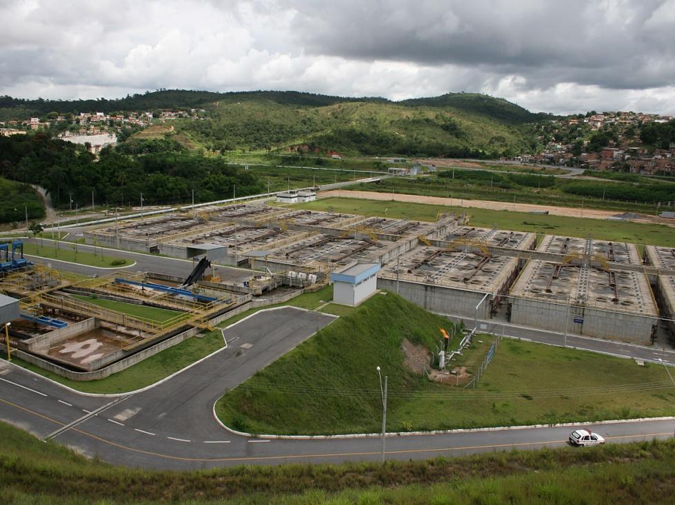 Onça em fase de estudo de