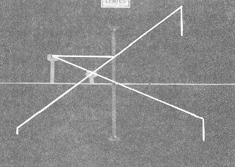 barbante de cor diferente para indicar essa situação. Ele deve ser colocado no ponto a partir do qual a divergência ocorrerá, para representar a trajetória do prolongamento do raio luminoso.