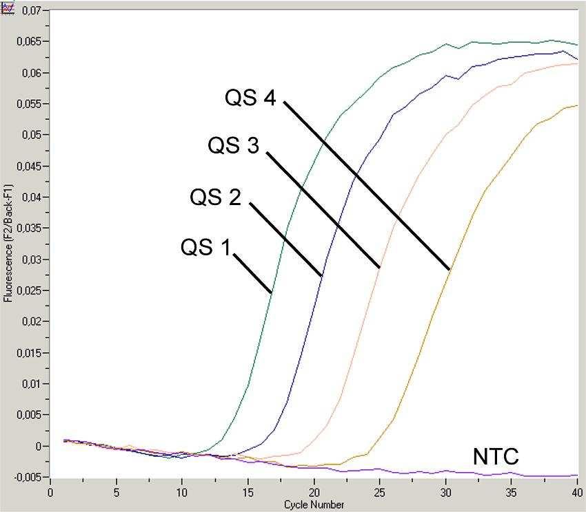 Fig. 10: Detecção dos Padrões de quantificação (HSV2 LC/RG/TM QS 1-4) no canal de fluorescência