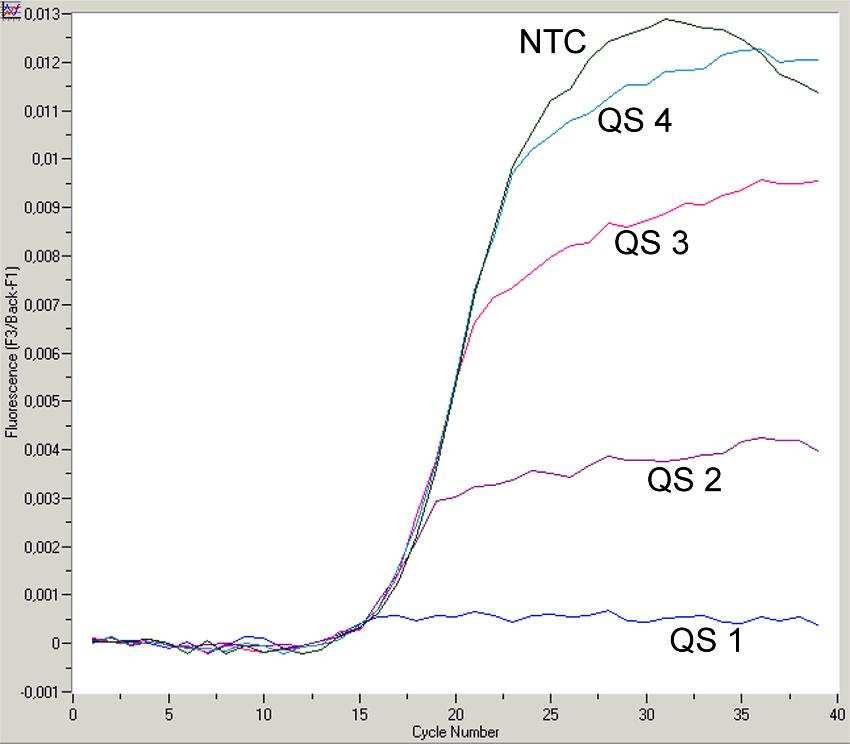 11: Detecção do Controlo interno (IC) no canal de fluorescência F3/Back-F1 no caso de amplificação
