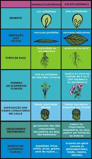 No entanto, indivíduos de algumas espécies não apresentam esses mecanismos, e aproveitam-se de seu próprio pólen para produzir sementes e garantir a estabilidade de sua população. OBS.