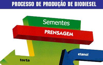 PROCESSO