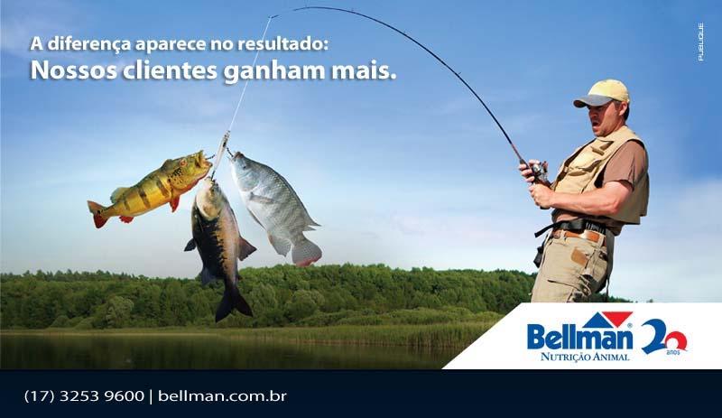 BOI & COMPANHIA INFORMATIVO PECUÁRIO SEMANAL 939 19 a 25 de setembro de 2011 SCOT CONSULTORIA 13 R$ / tonelada @ de boi gordo / tonelada de sorgo 450,00 400,00 350,00 300,00 250,00 200,00 4,00 3,50