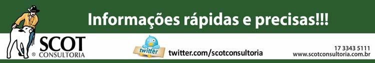 2 BOI & COMPANHIA INFORMATIVO PECUÁRIO SEMANAL 939 19 a 25 de setembro de 2011 SCOT CONSULTORIA TWITTER SCOT twitter.