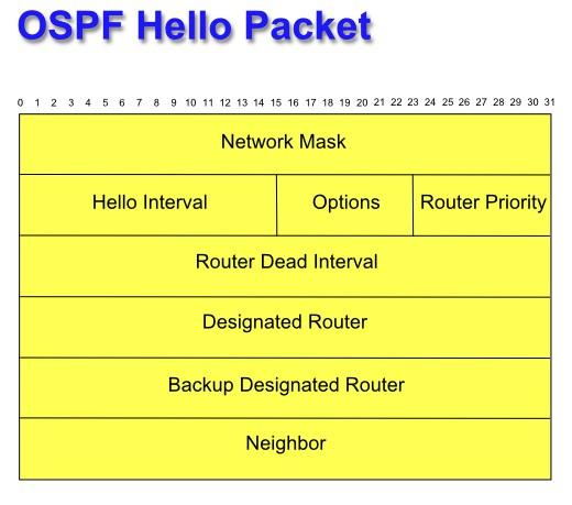 OSPF: Mensagem de Hello