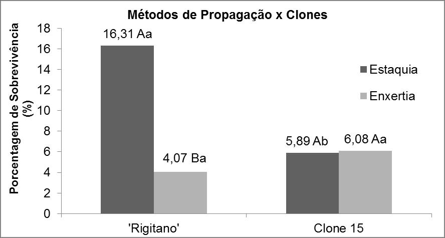 30 Figura 1. Resultados de Porcentagem de Sobrevivência das Estacas no Experimento 1. Interação dos tratamentos Métodos de Propagação x Clones.